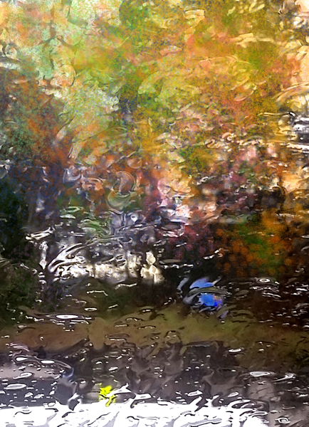 Seeing in the Rain