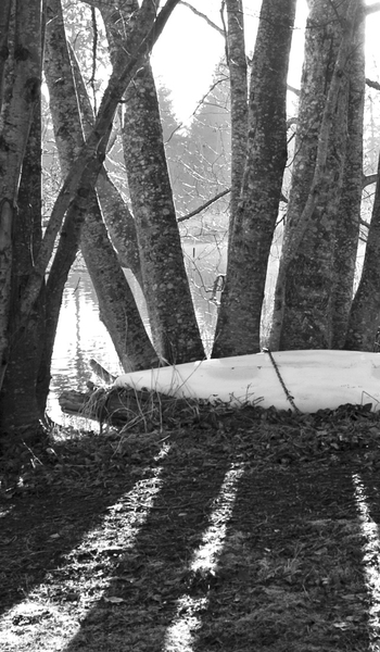 Canoe
