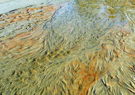 Tofino Sand